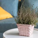 Apartmán Rent Like - Zeromskiego 10 *